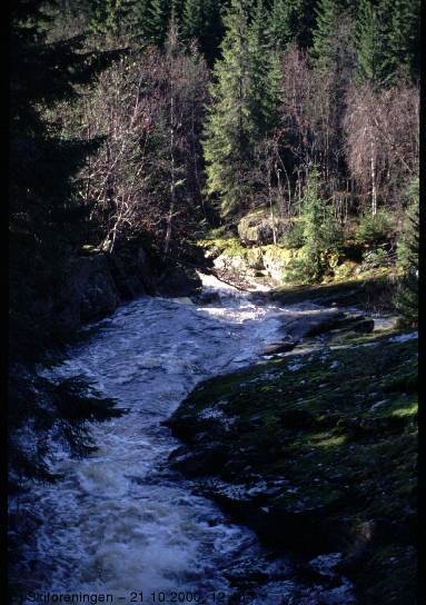 Lyseelva går vill og frodig