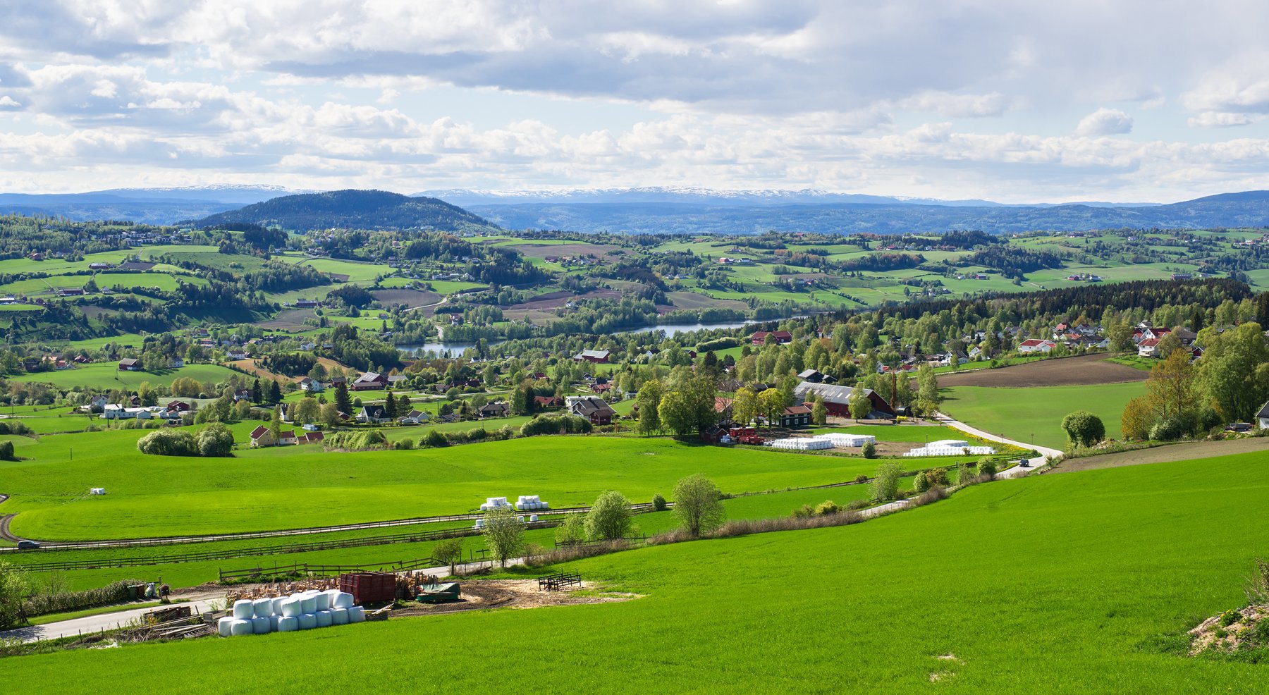 Lysegrønt kulturlandskap