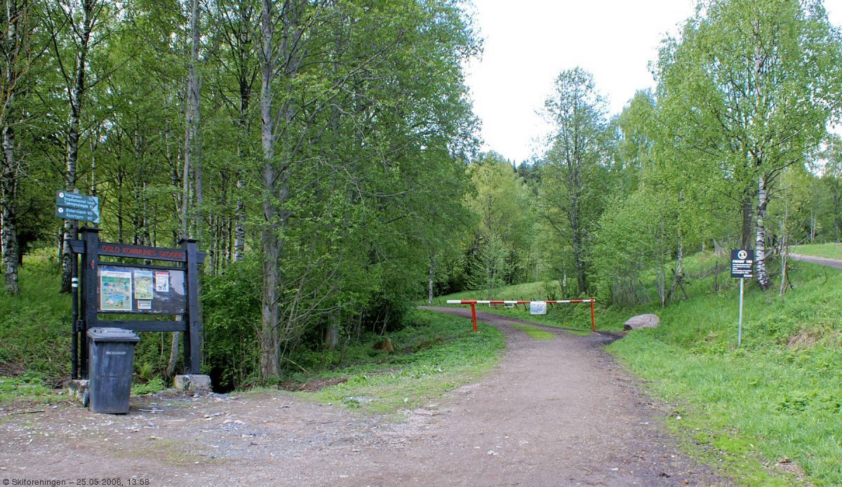 Lysegrønt på Årnes