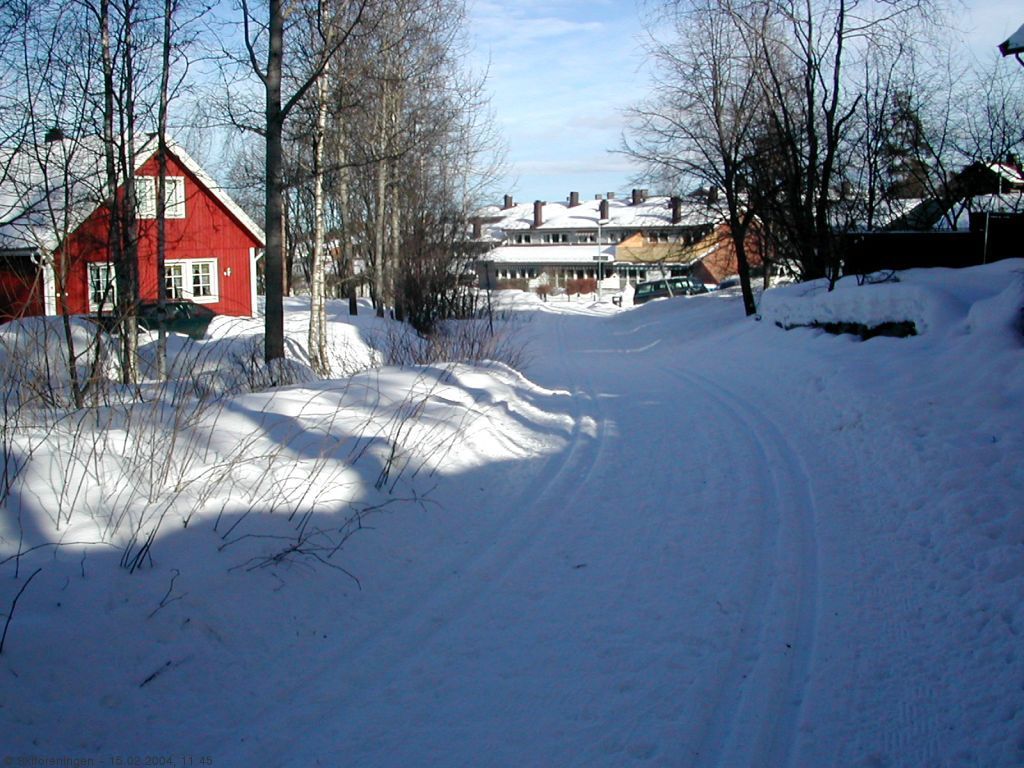 Lysløypa fra Lottestien