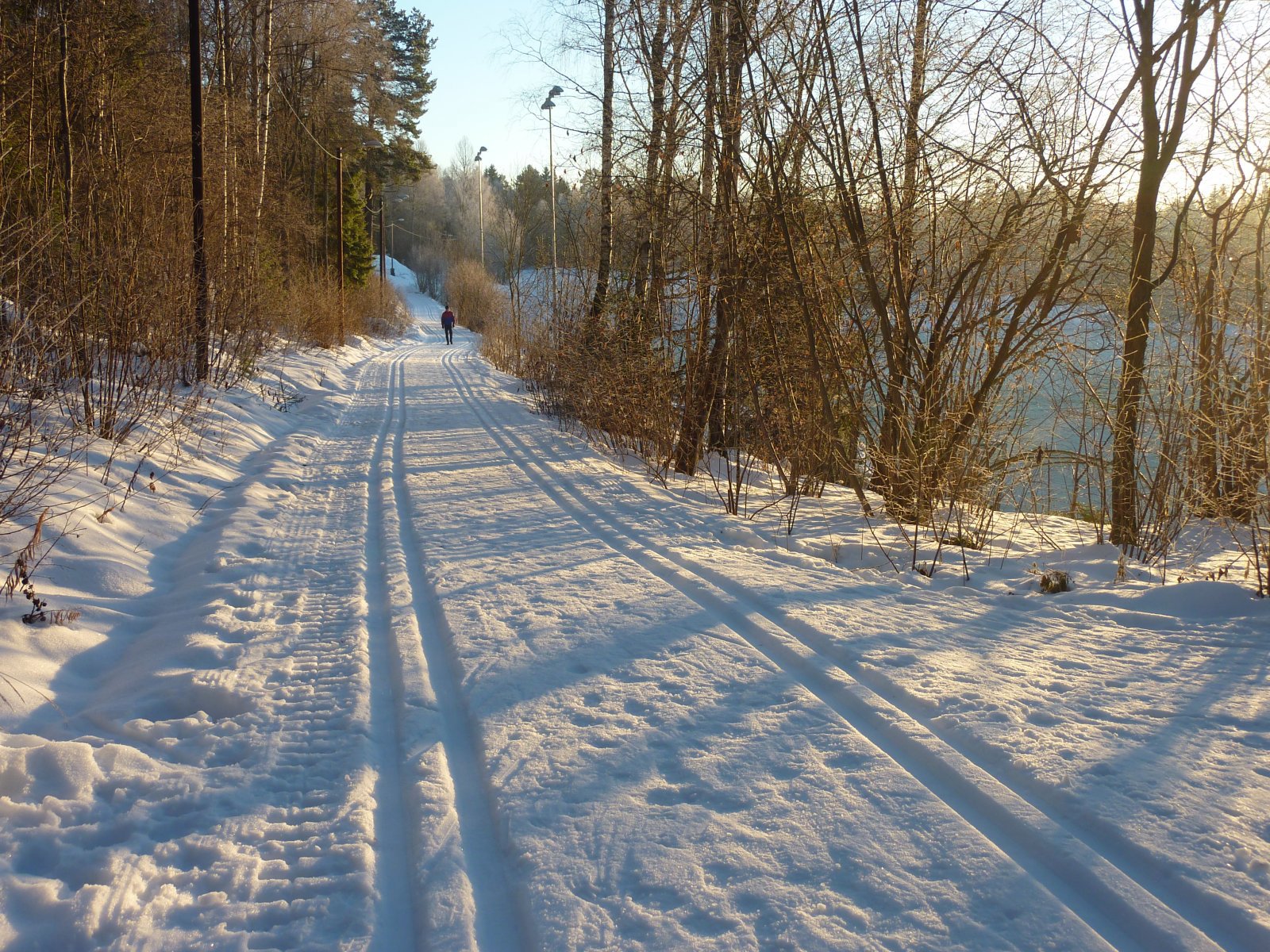 Lysløypa i Grønliåsen