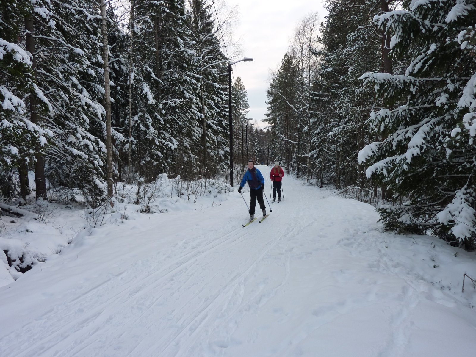 Lysløypa i Grønliåsen