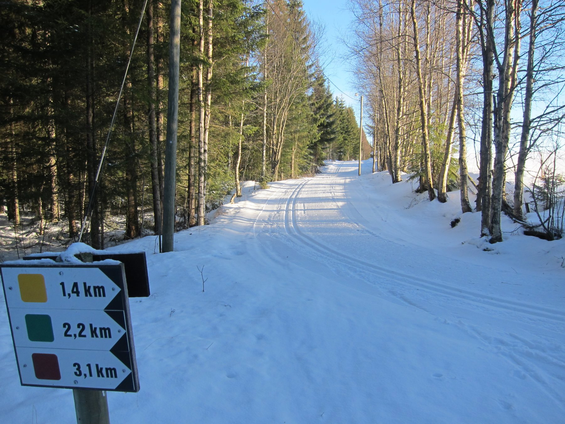 Lysløypa i Prestmarka
