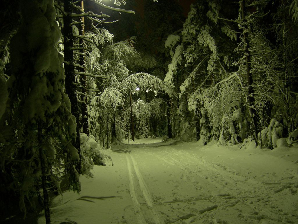 Lysløypa i Vardåsen