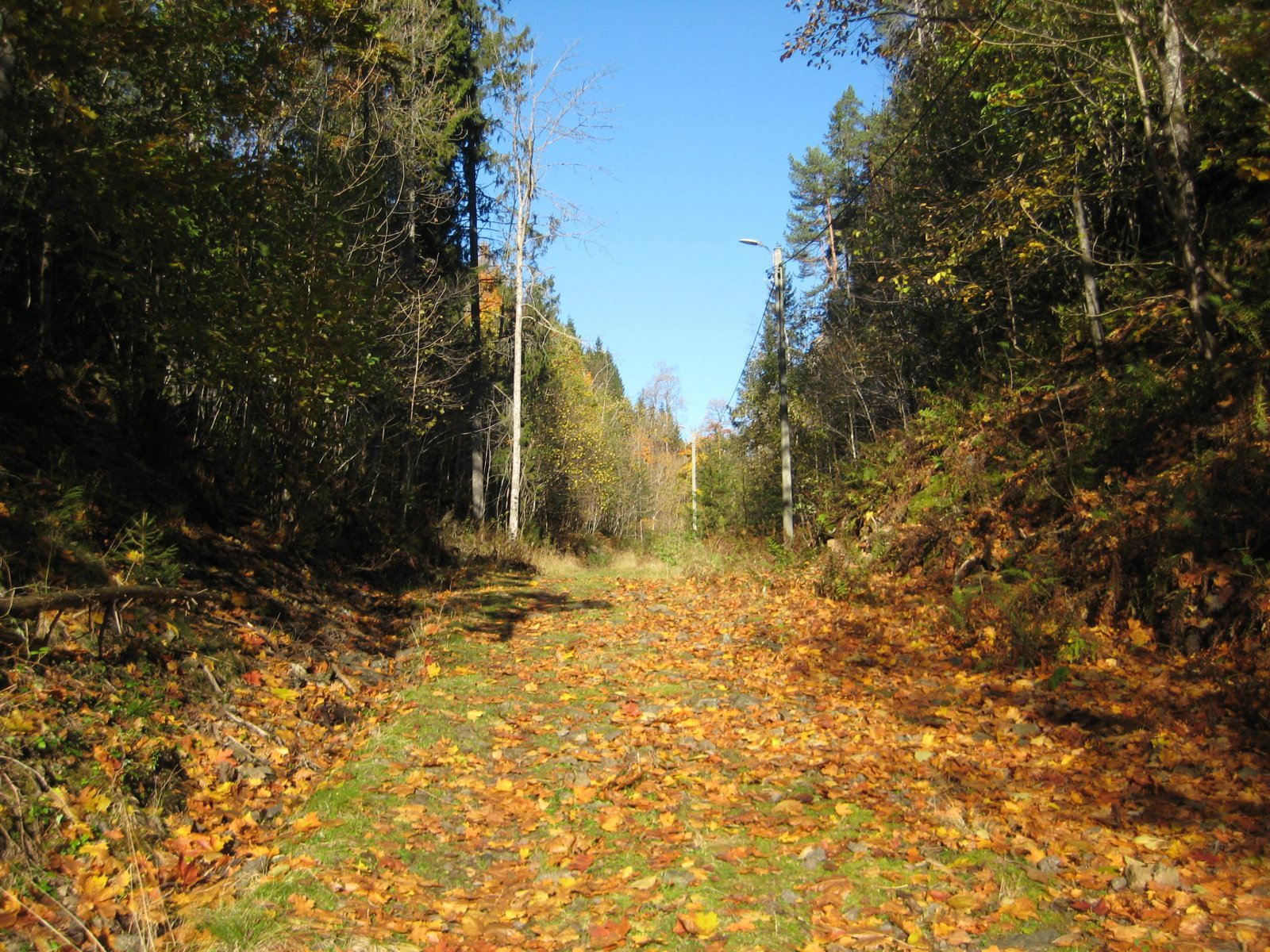 Lysløypa mellom Eikeludsåsen og Kattåsen