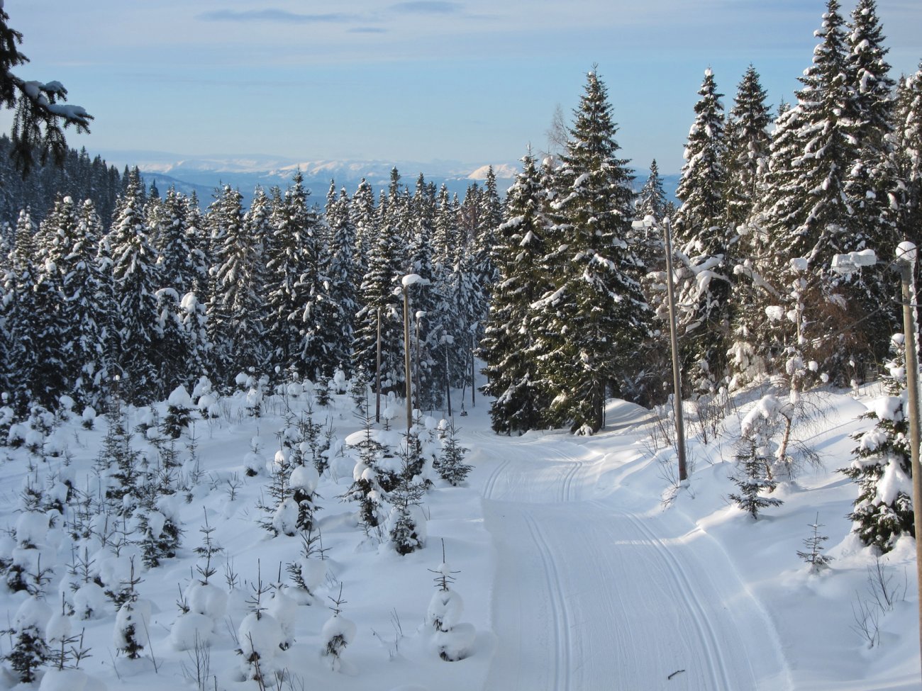 Lysløype med fjellutsikt
