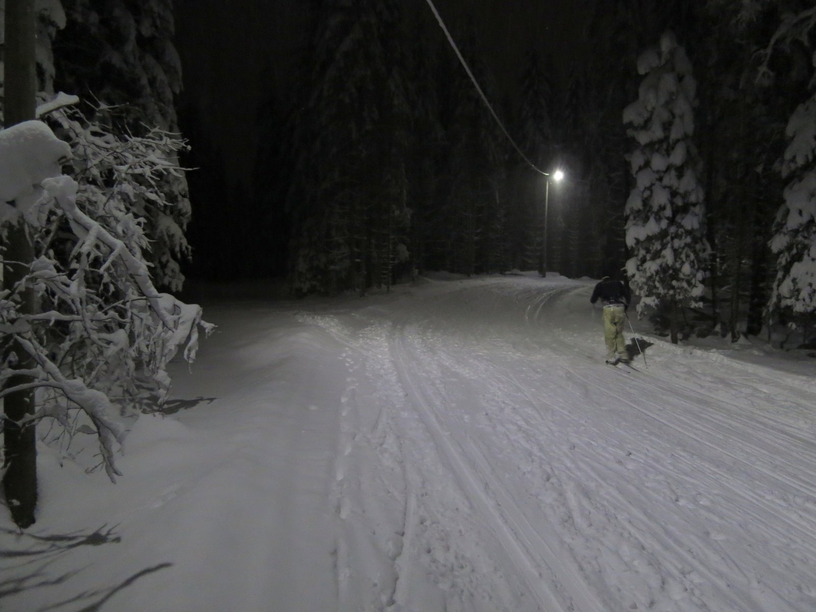 Lysløypen på Vestmarksetra