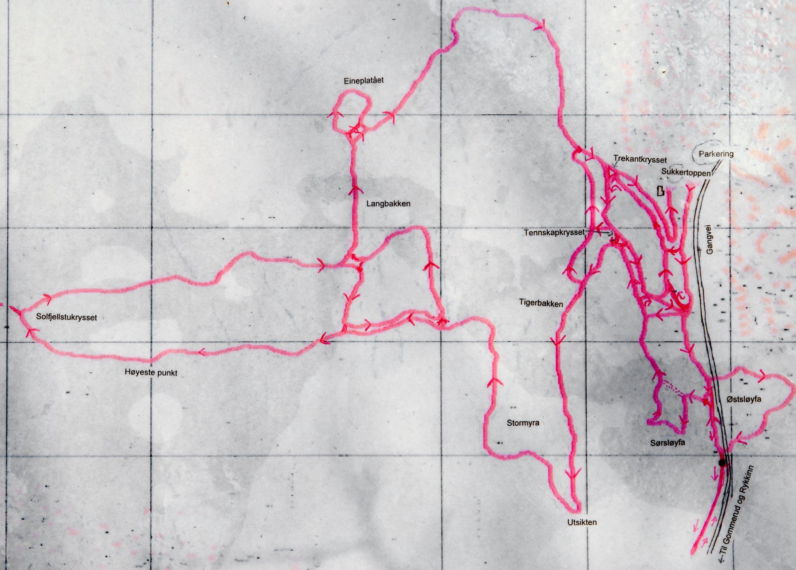Lysløypetraseene i Eineåsen
