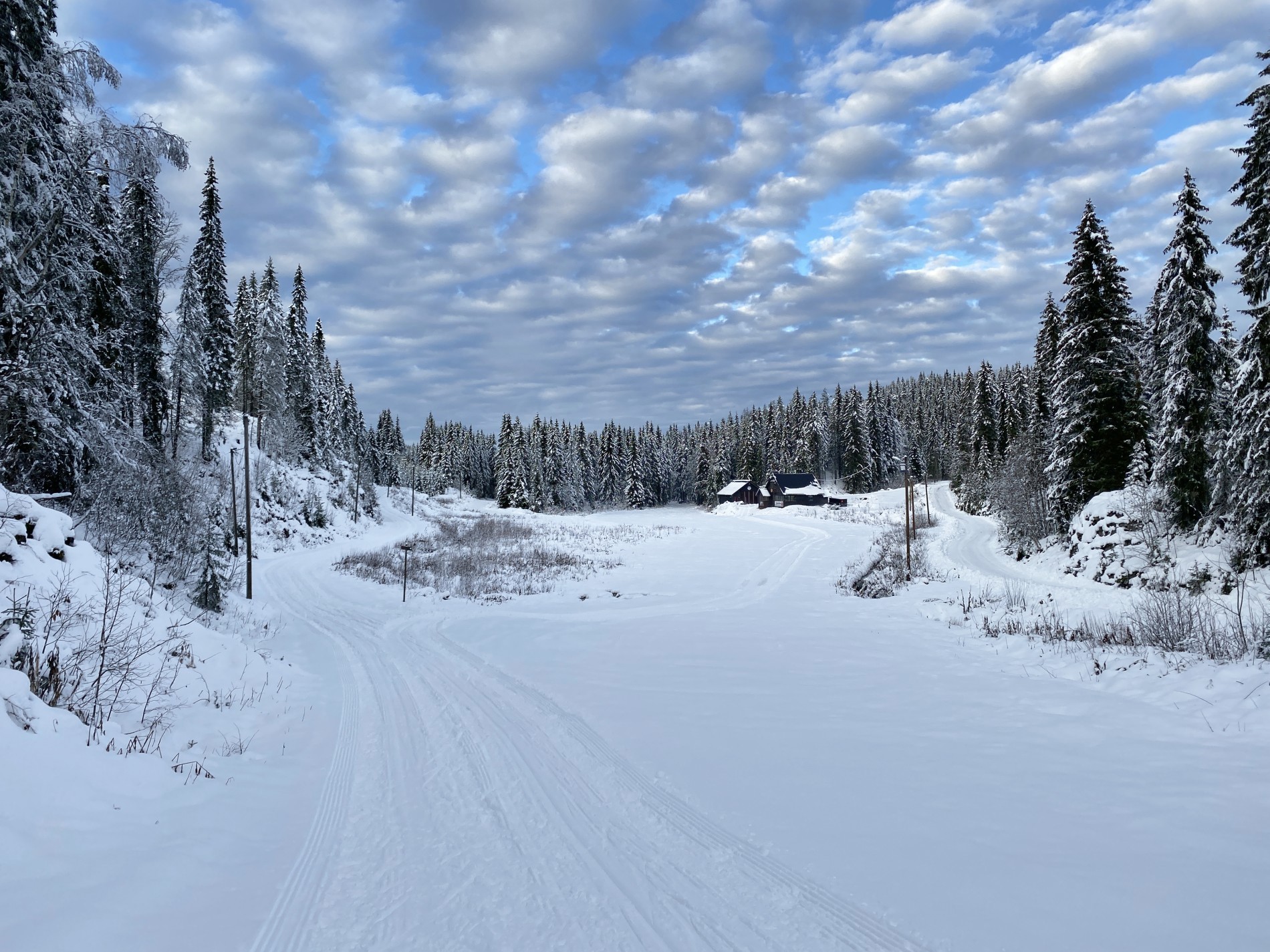 Magisk flott på myra ved skistadion på Kleivstua