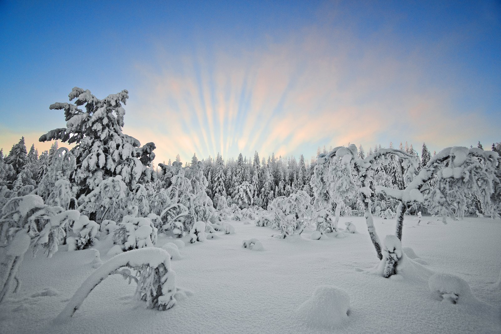 Magisk lys ved Vestergyllen