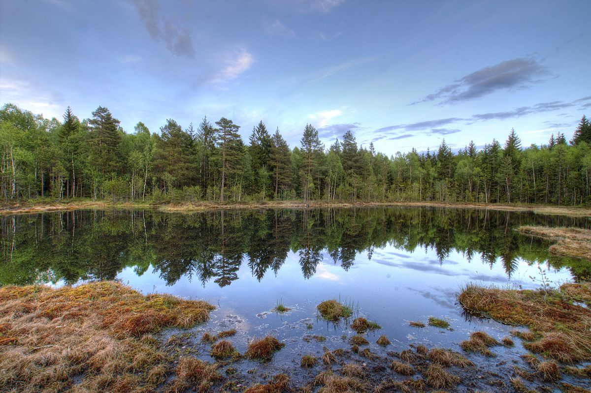Maikveld ved Stubberudtjern