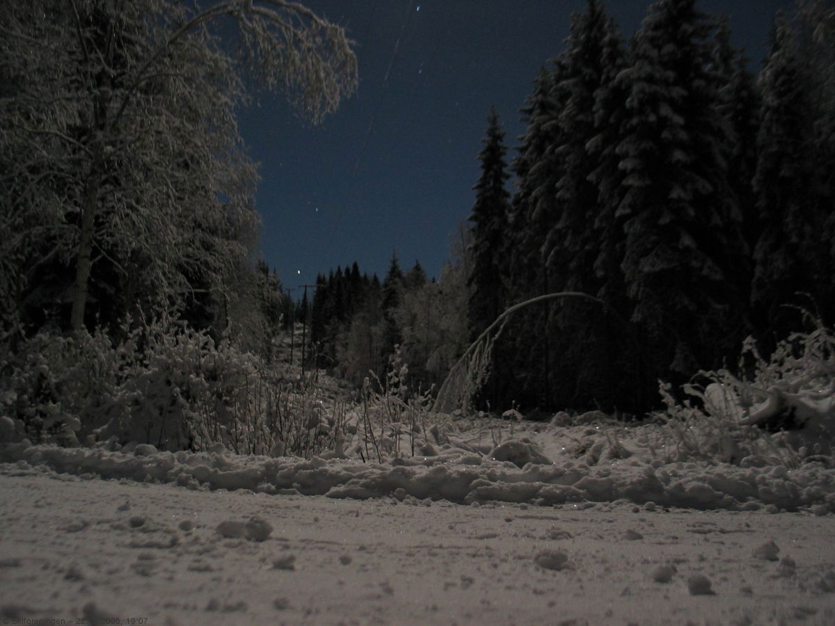 Måneskinnstur Vangen 2005: En lys månenatt.