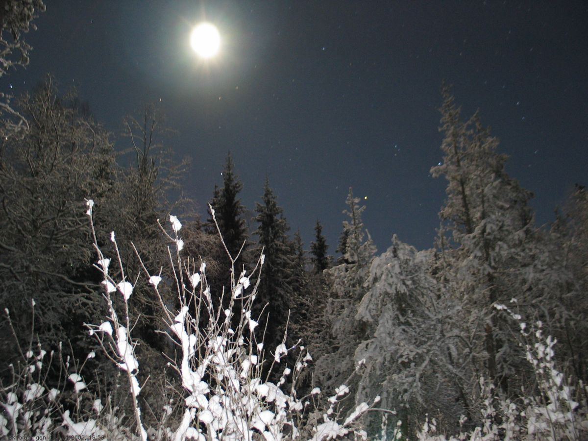 Måneskinnstur Vangen 2005: En månenatt av de skjeldne!