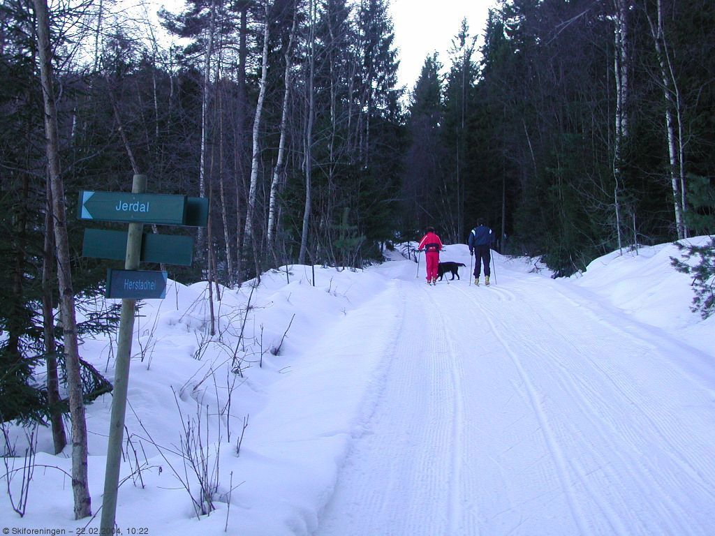 Mange bakker opp mot Herstadhei