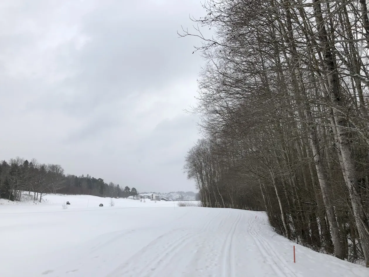 Mange slags spor på Son golfbane Mange slags spor på Son golfbane