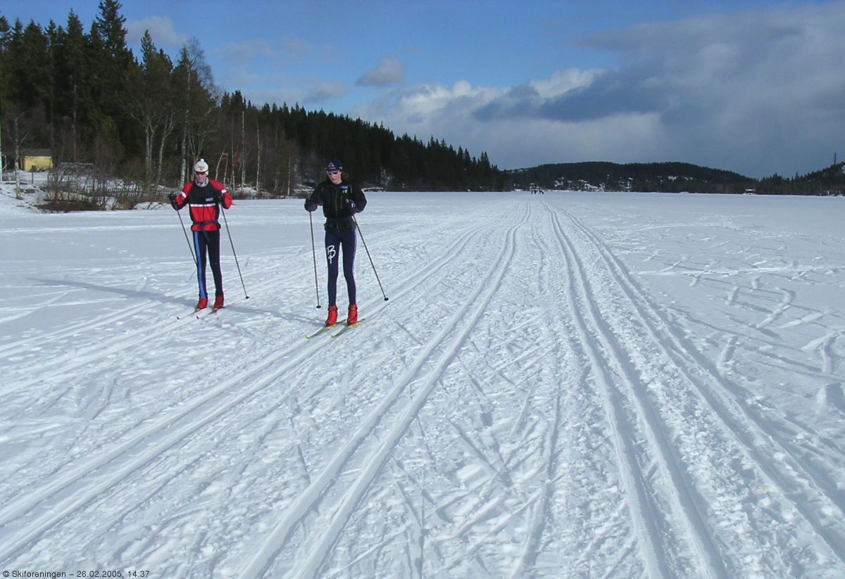 Mange spor over Mylla