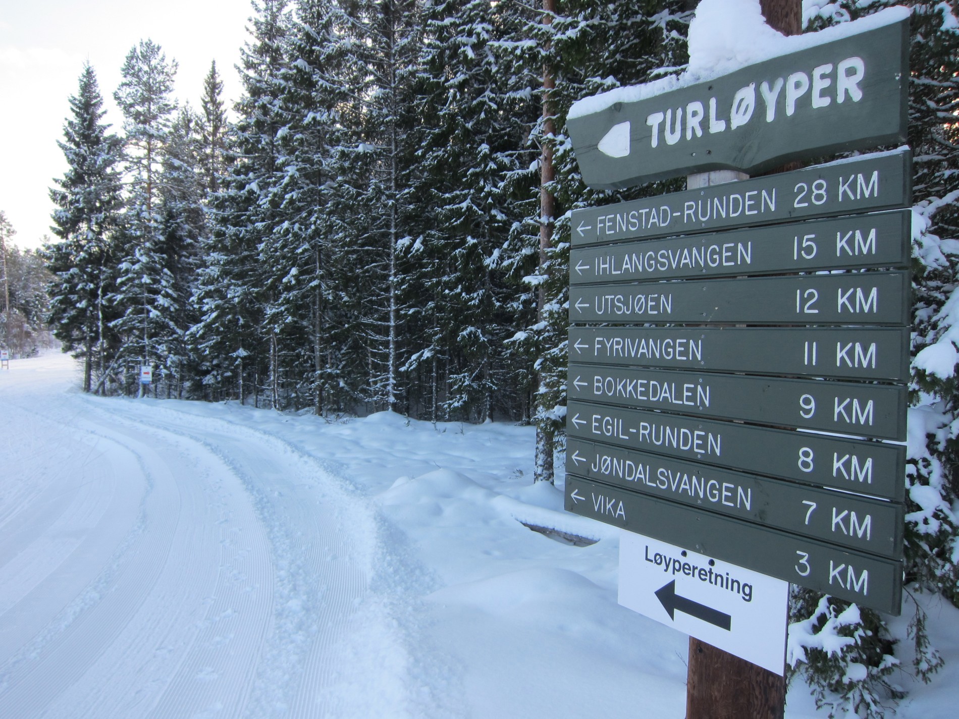 Mange turmuligheter fra Nes skianlegg