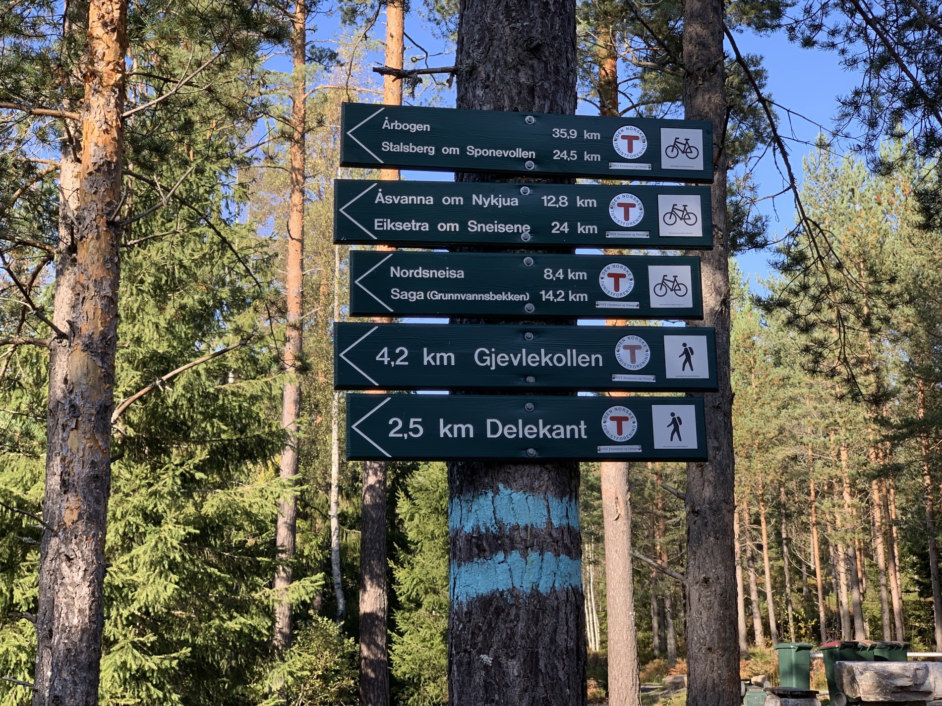 Mange turmuligheter fra parkeringsplassen på Rustanvegen