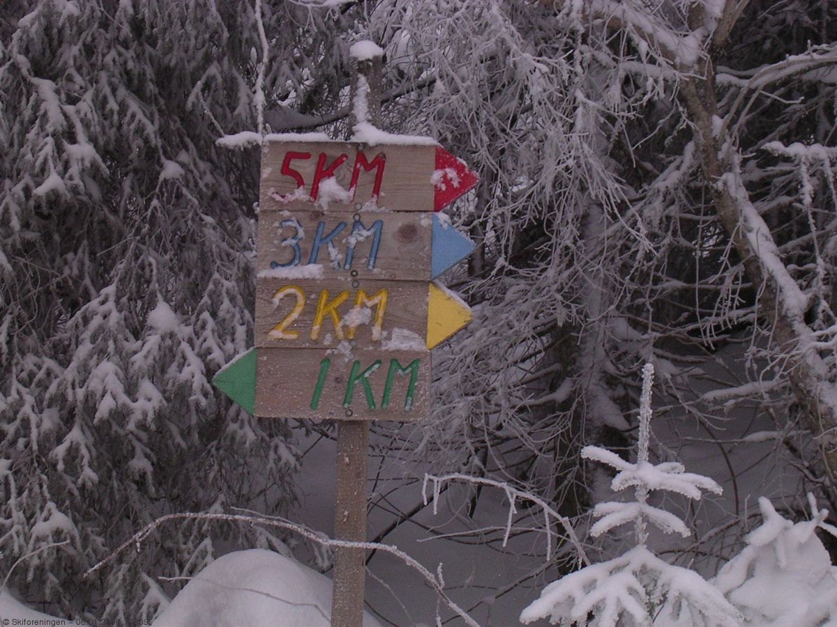 Mange valg fra Kleivstua