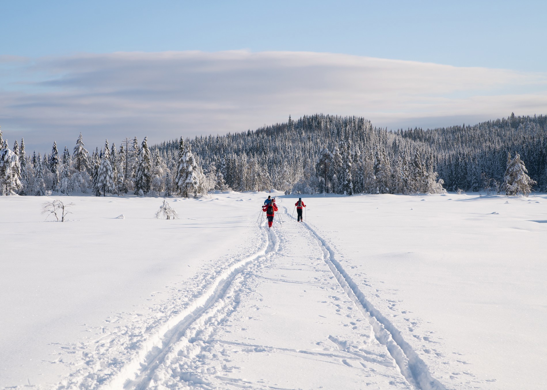 Manuell preparering på Triungsvann