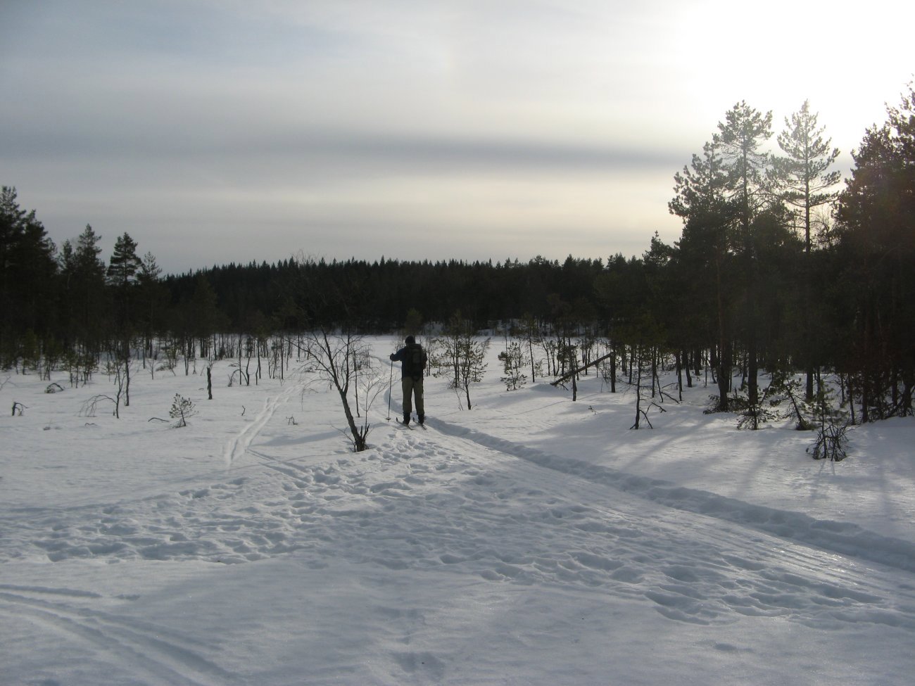 Marssol over Skogsmosen