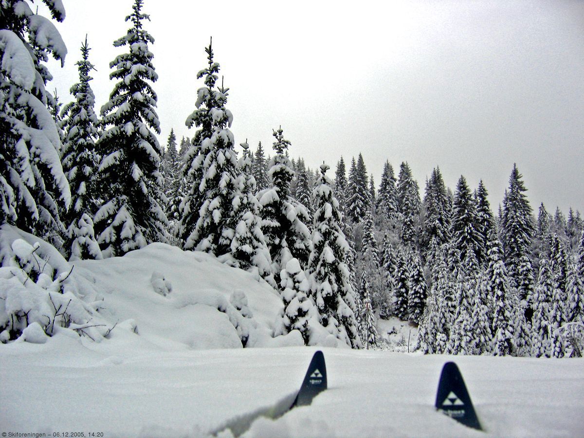 Masse snø på Hansemyr tirsdag 6. desember