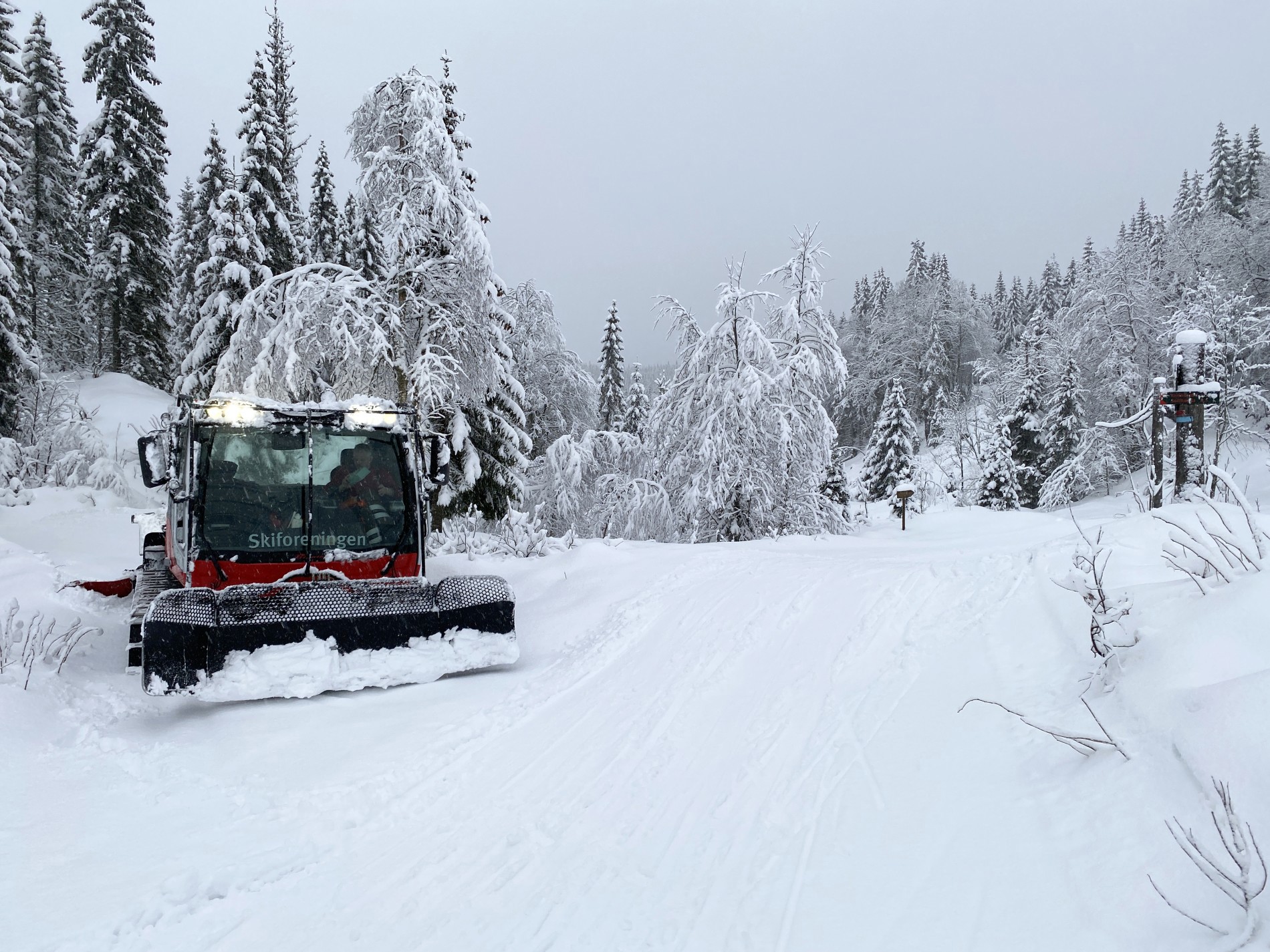 Matpause i vintereventyret