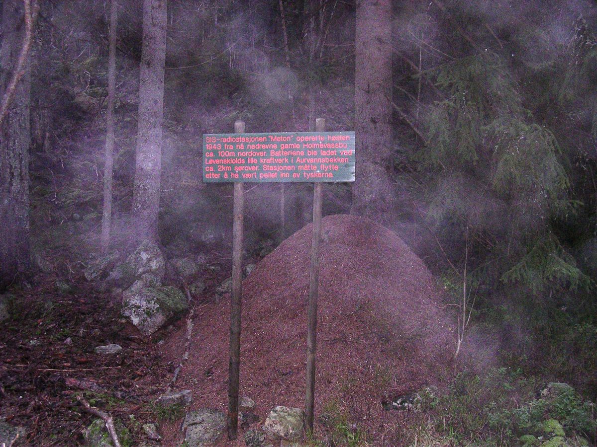 Maurtue på historisk grunn