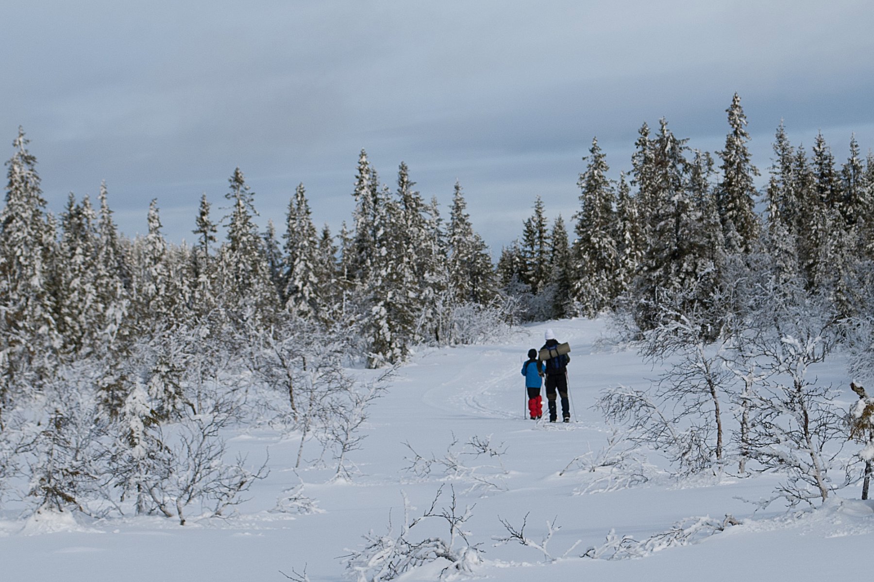 Med Fjellsjøkampen som mål