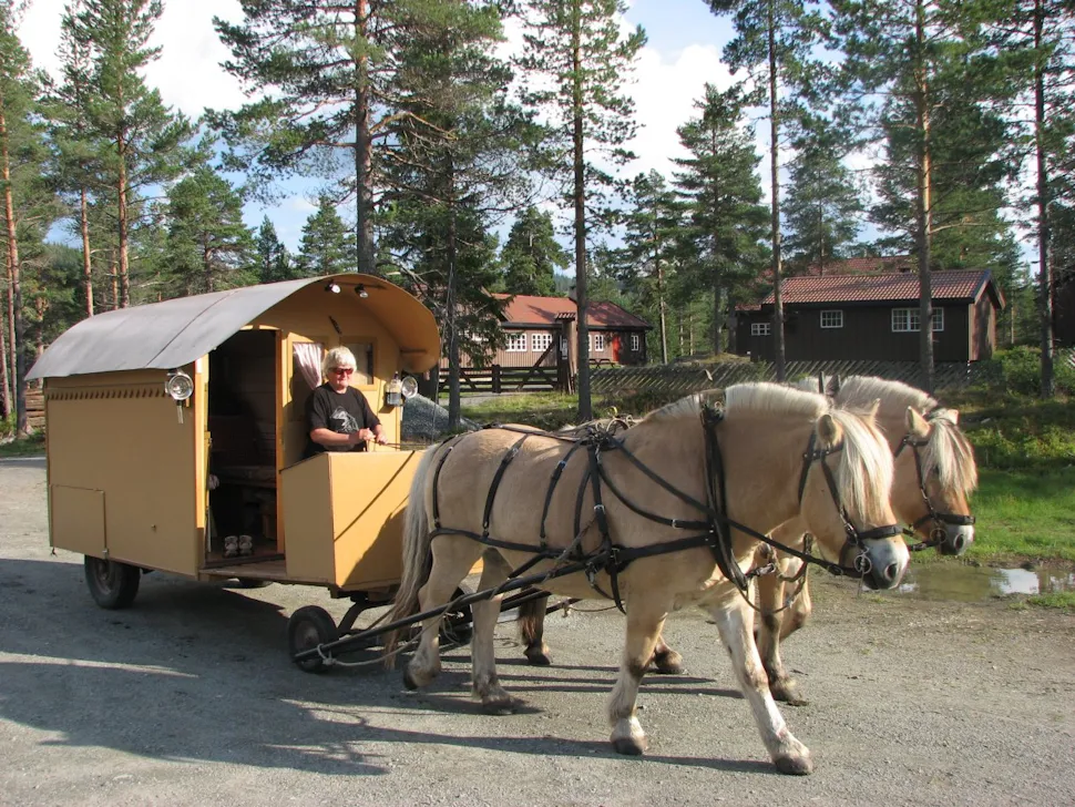 Med hest og vogn på Åstjern