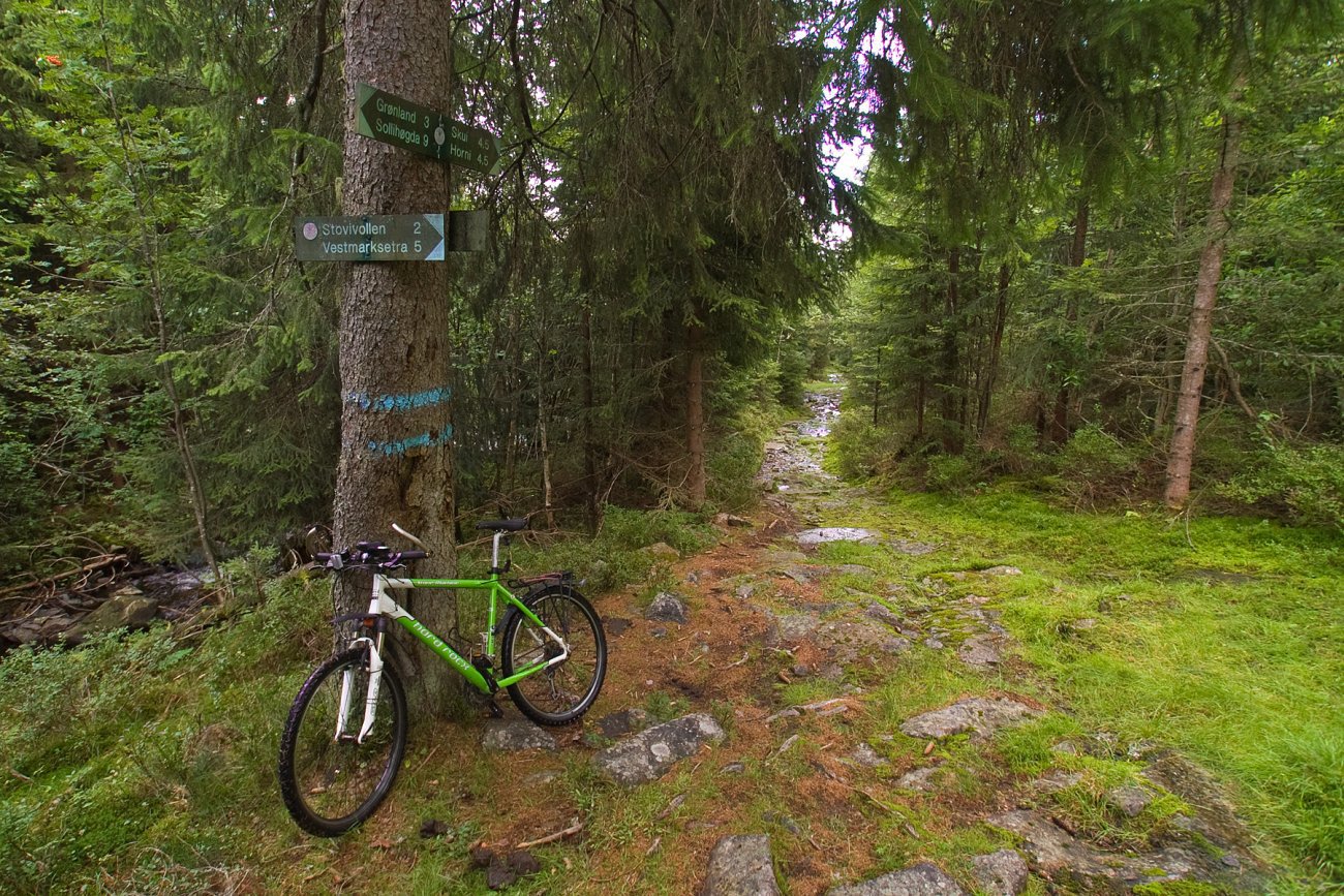 Med sykkel opp Ursdalen