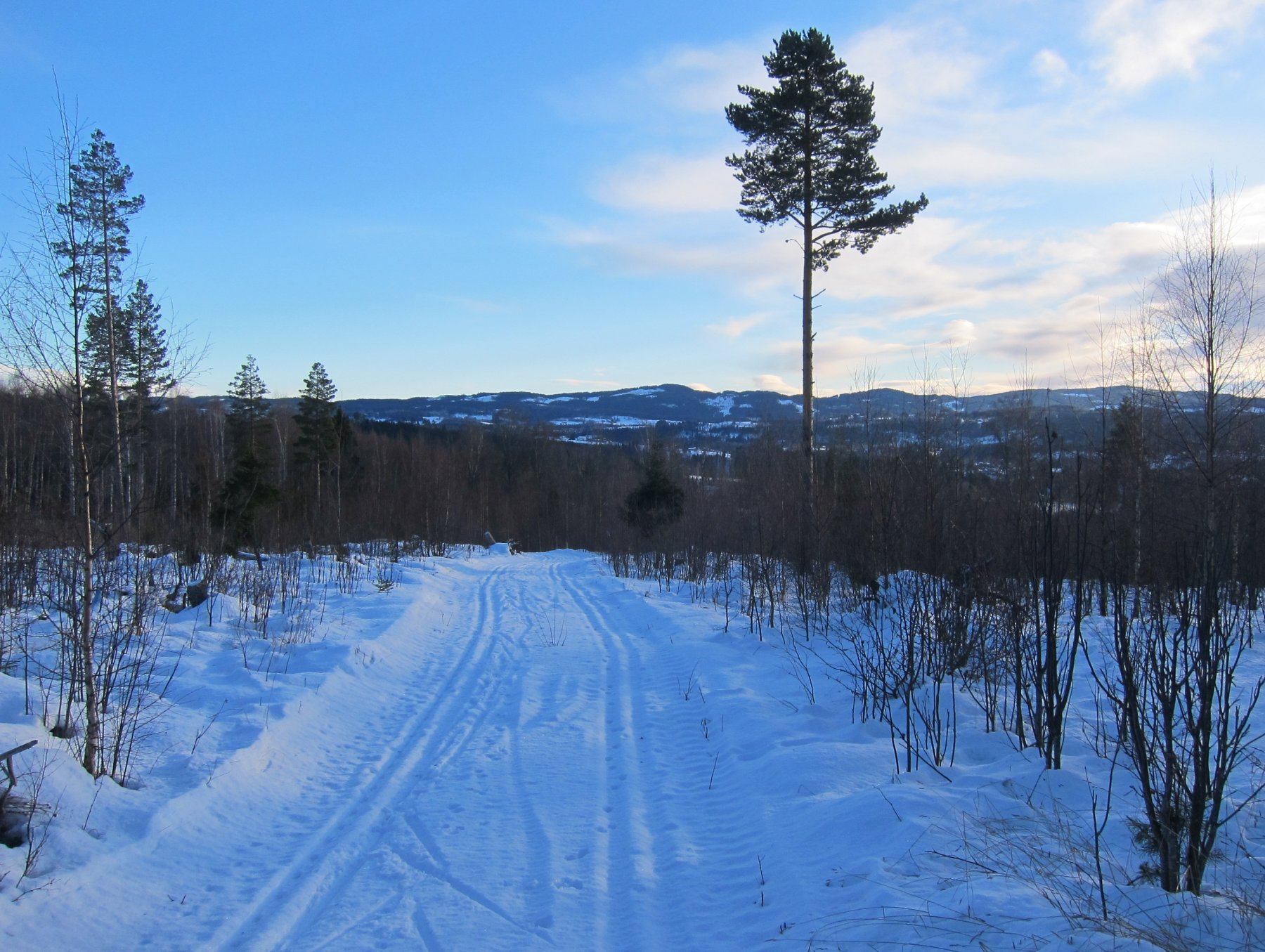 Med utsikt mot Nordmarka