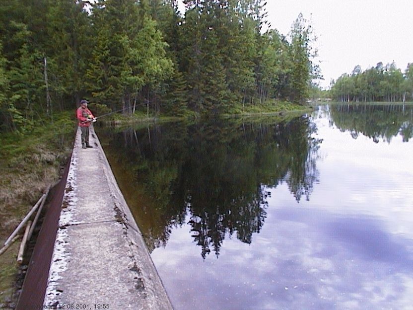 Meitefiske på Triungsdammen