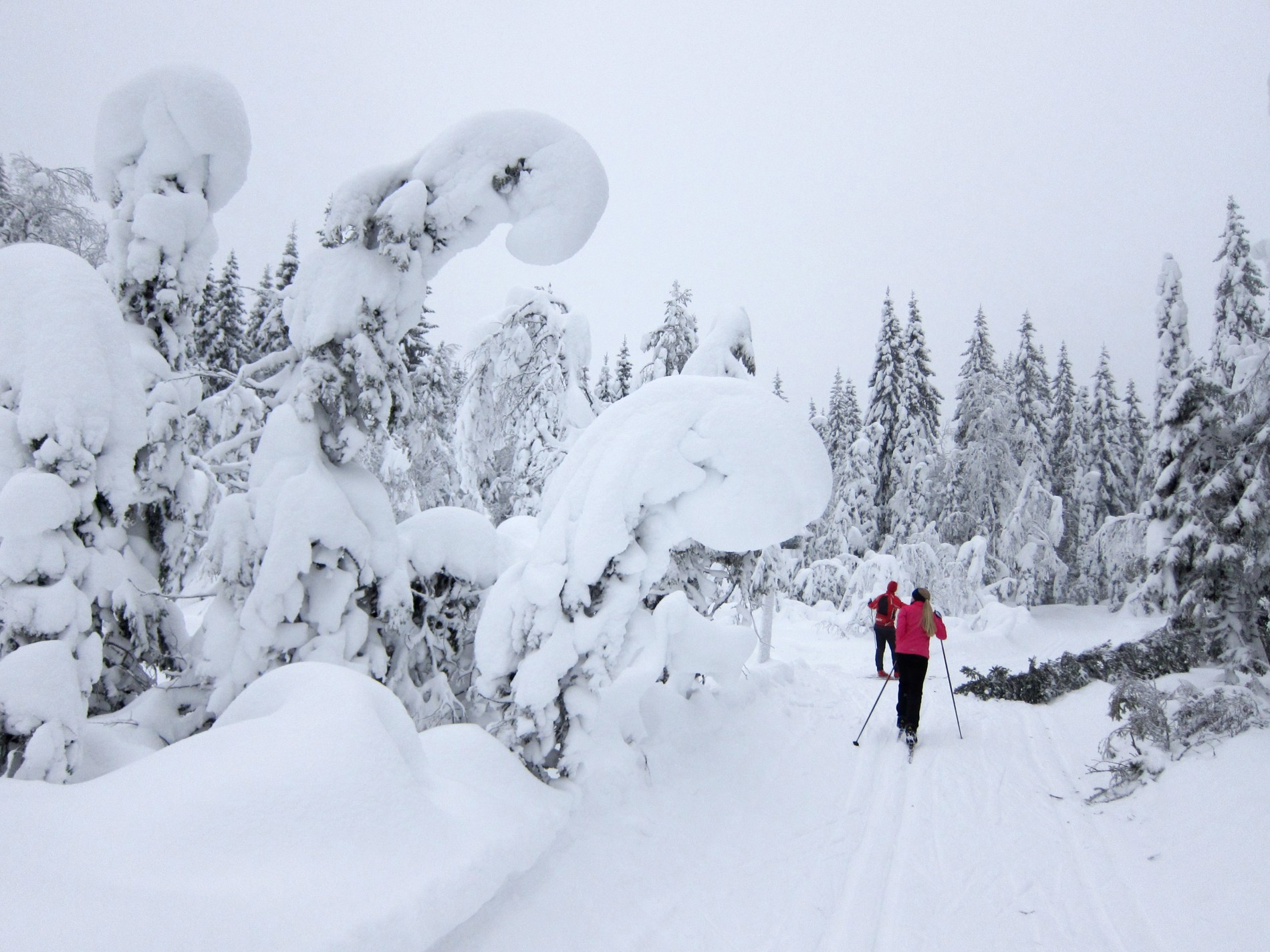 Mektige snøformasjoner