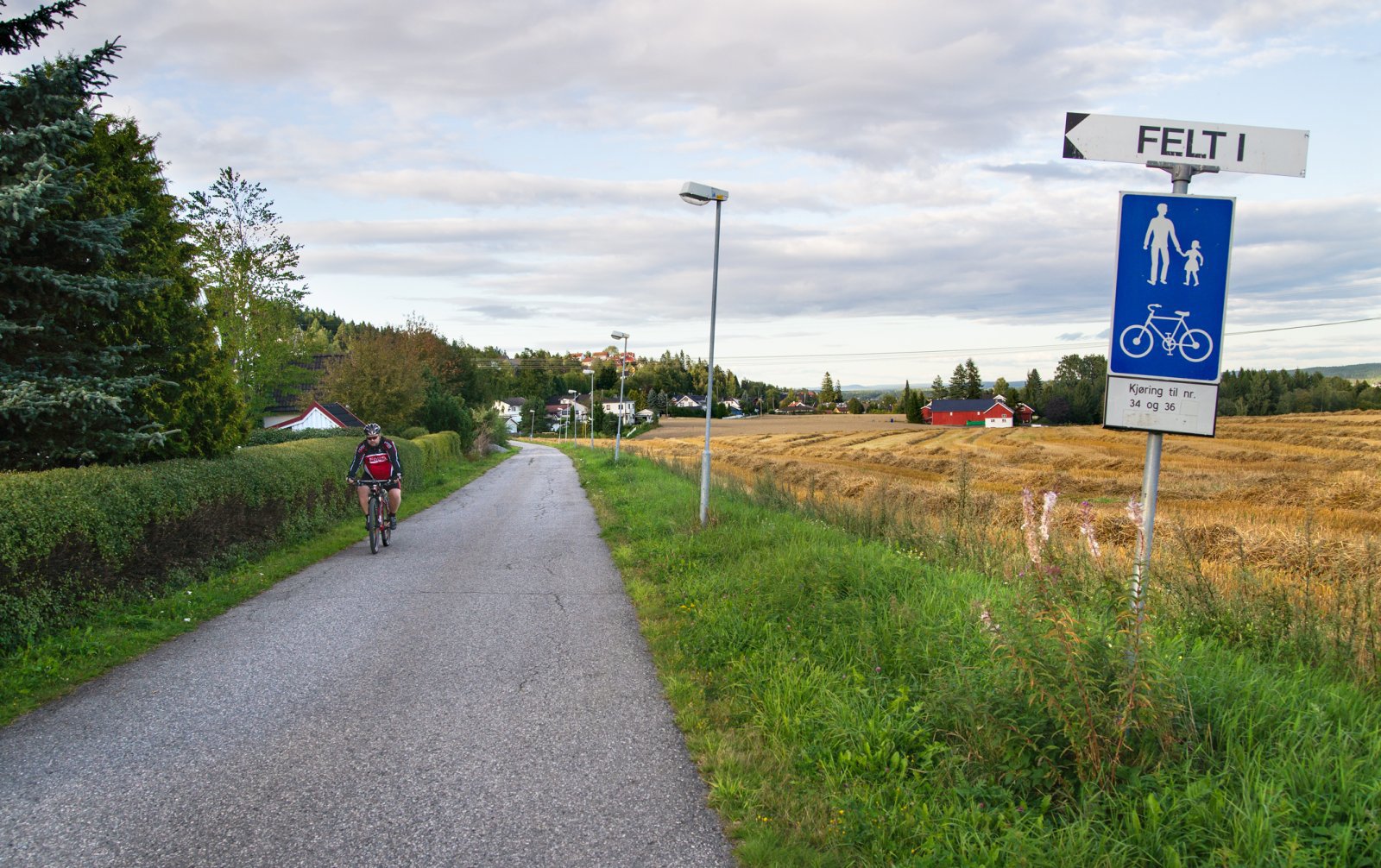 Mellom bebyggelse og kornåker