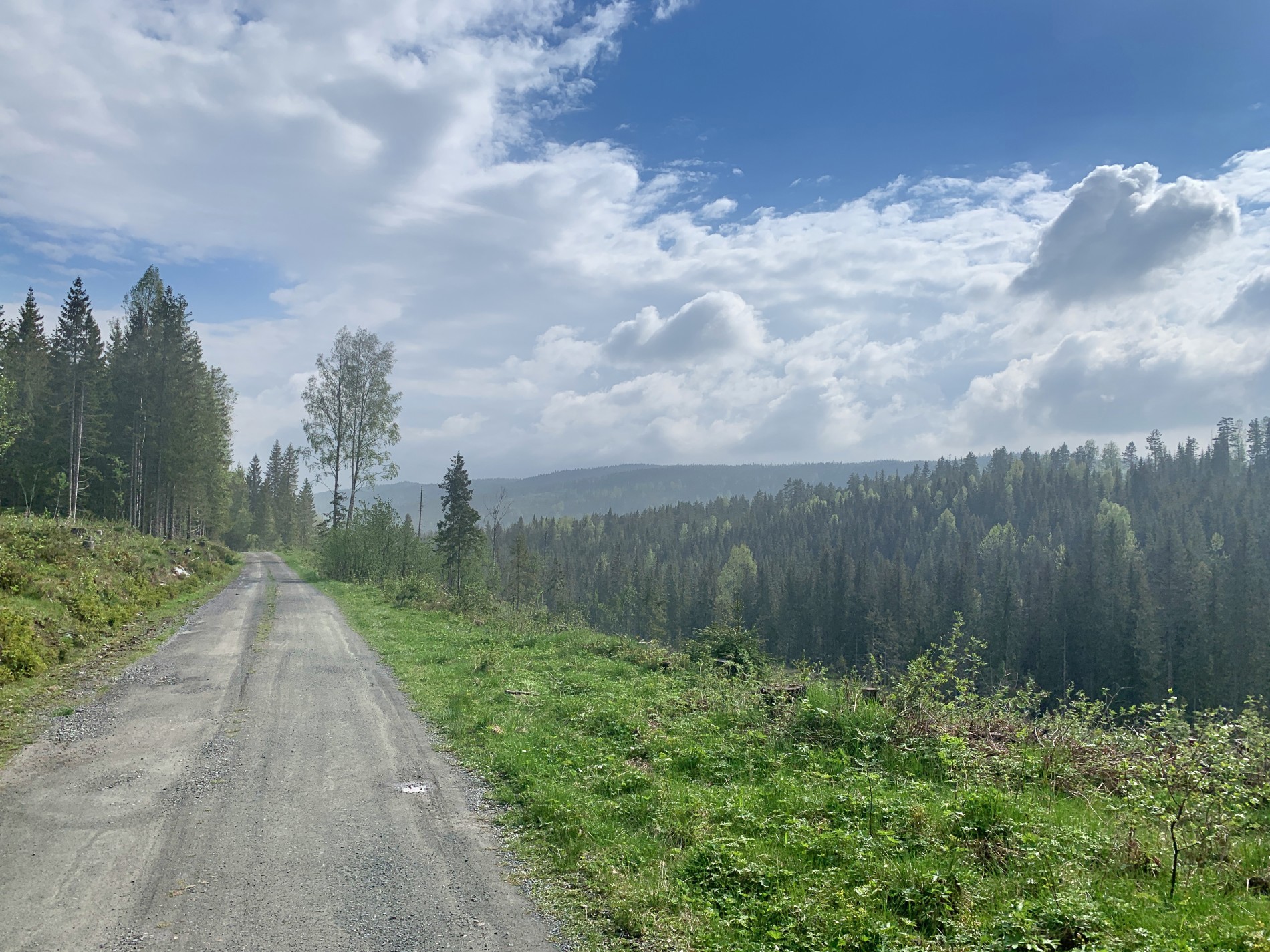 Mellom Fjellsetra og Fjellstadhytta