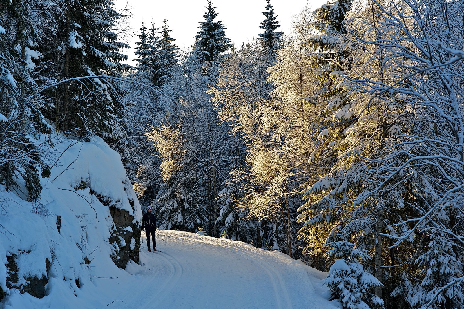 Mellom Haveråsen og Øyevann