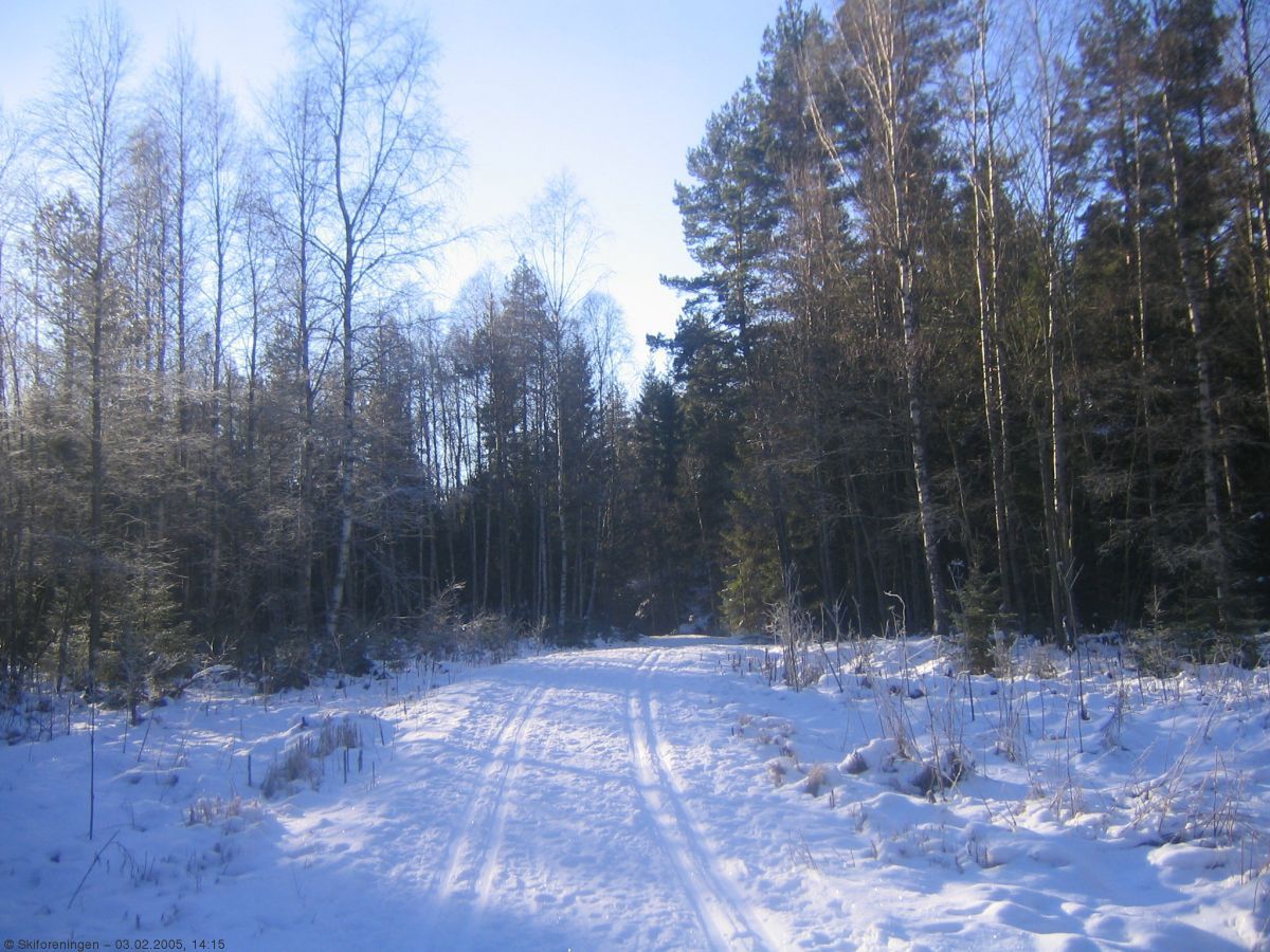 Mellom Krokhol og Skjelbreiavann er det bra forhold