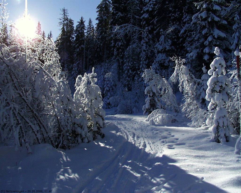 Mellom Langtjern og Spålen