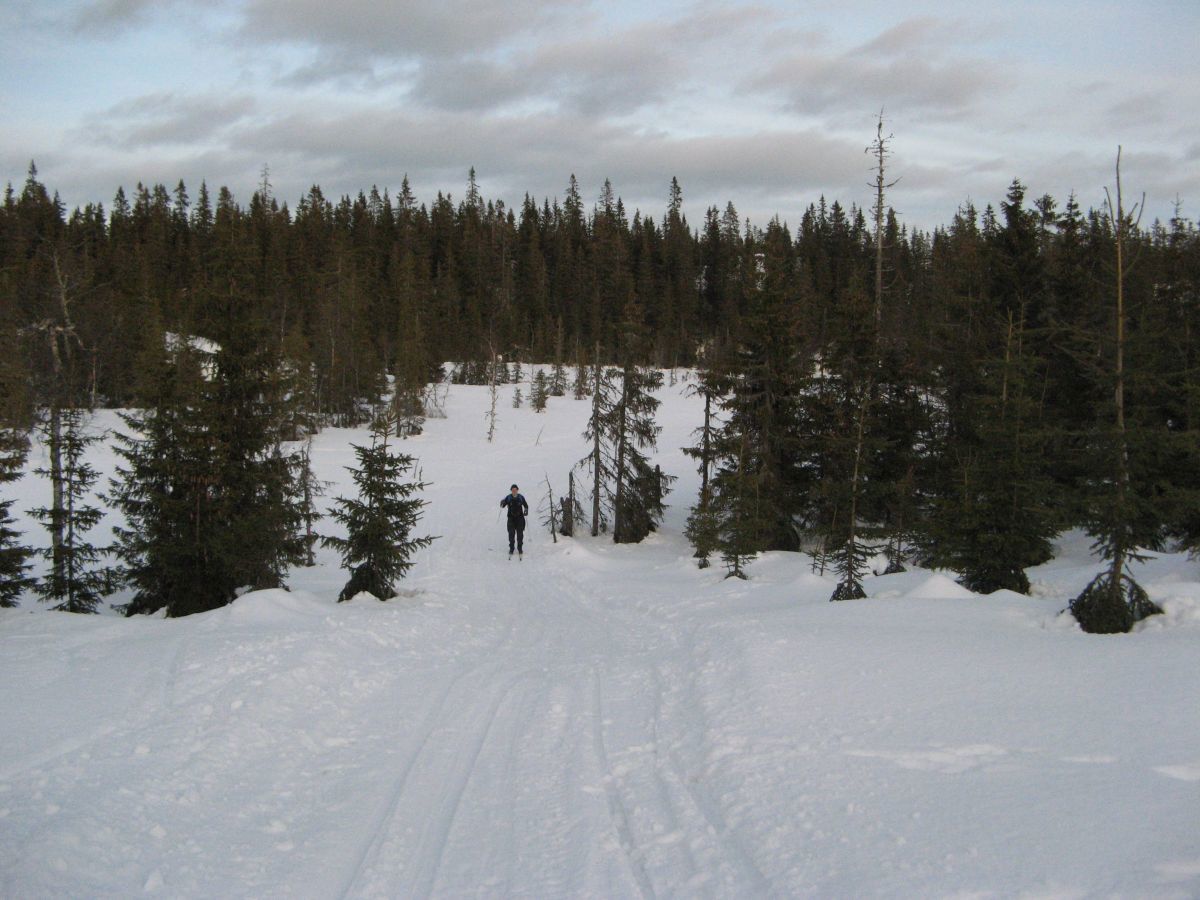 Mellom Sandbekkmana og Rolighaugen