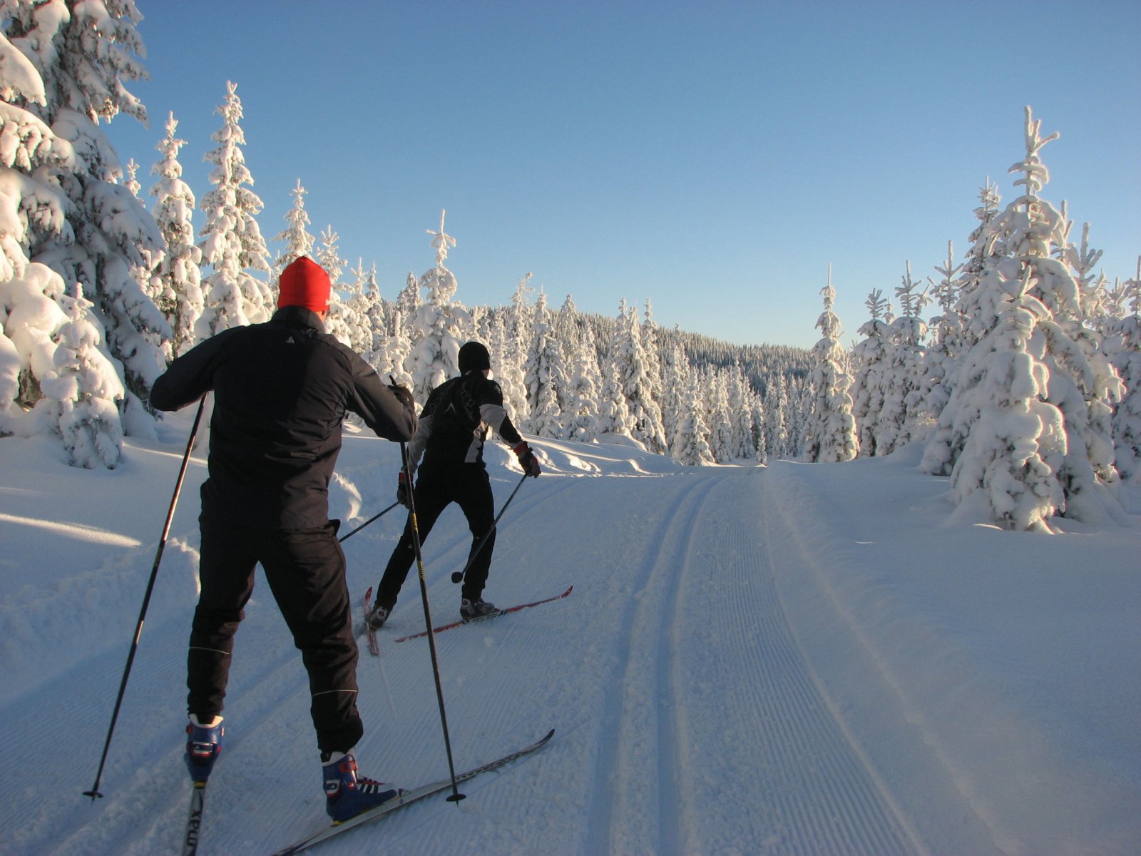 Mellom Stadstamyra og Sveravollen