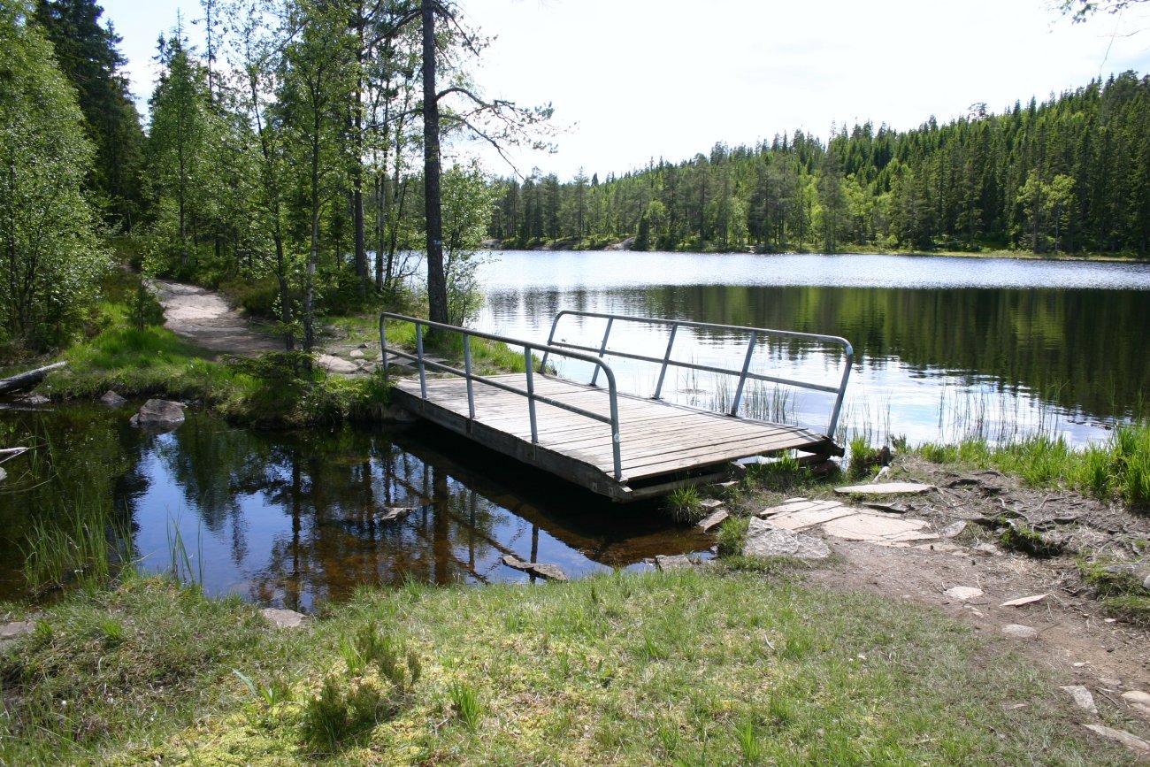 Mellom vei og blåsti ved Kjulstjern