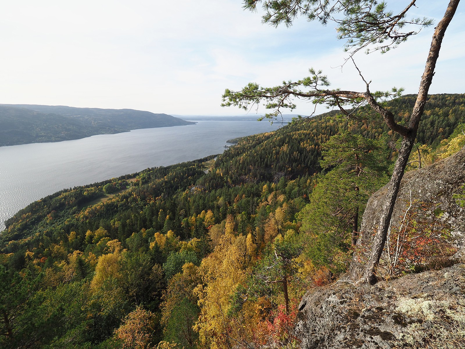 Menuetten: høstfarver og vid utsikt mot vest