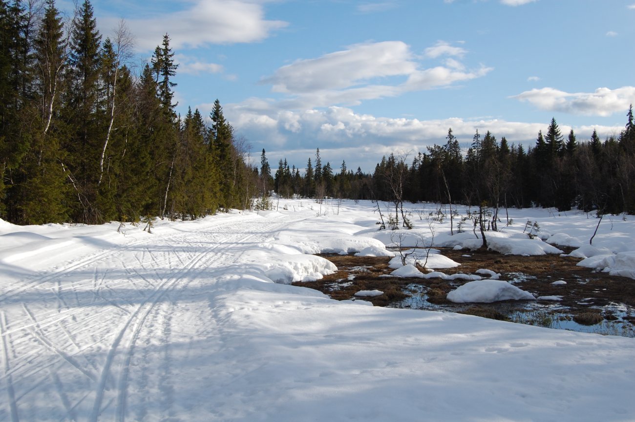 Mer vinter enn vår i Vestmarka fortsatt
