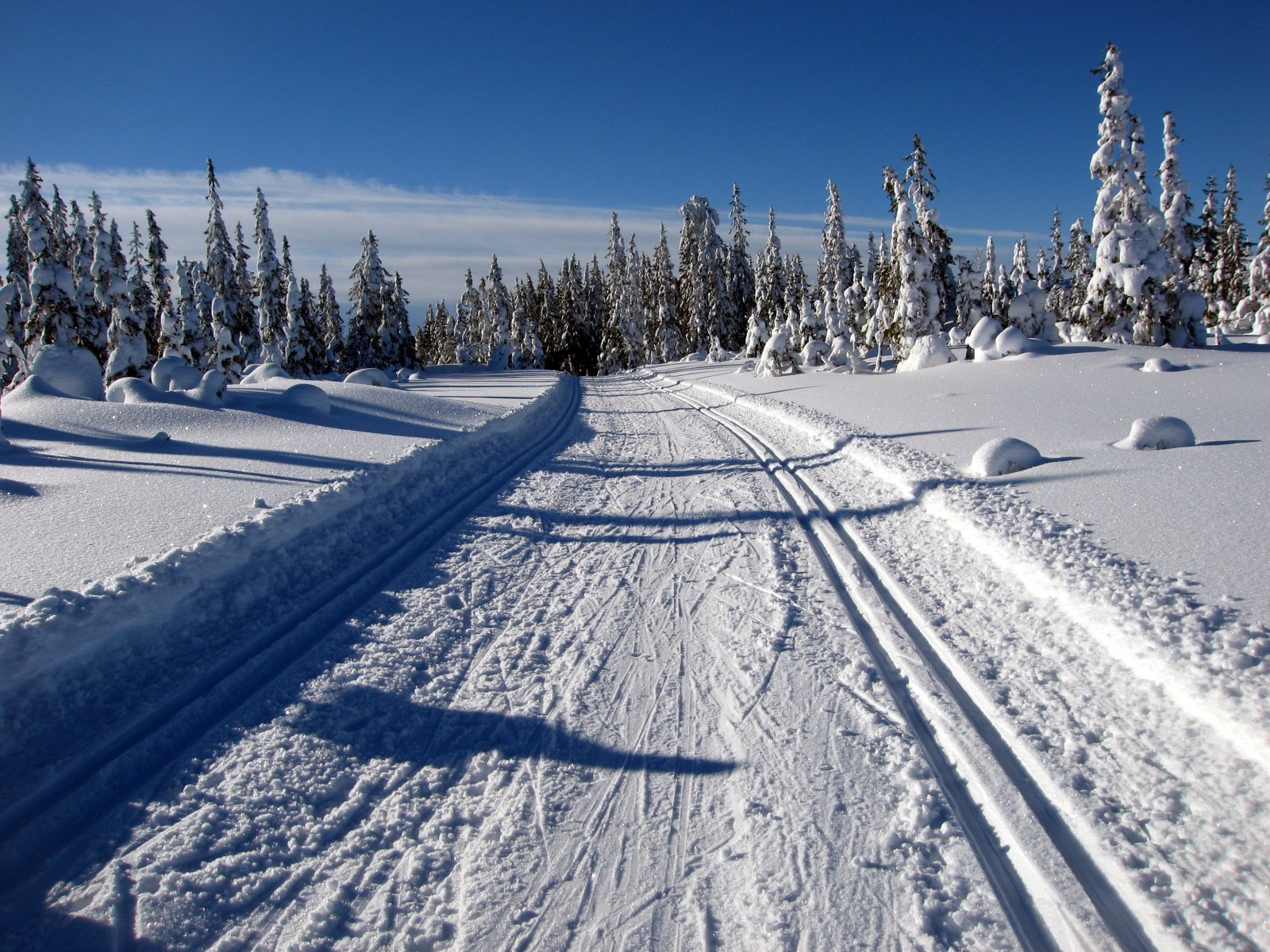 Mest hvitt i Svartdalen i dag!