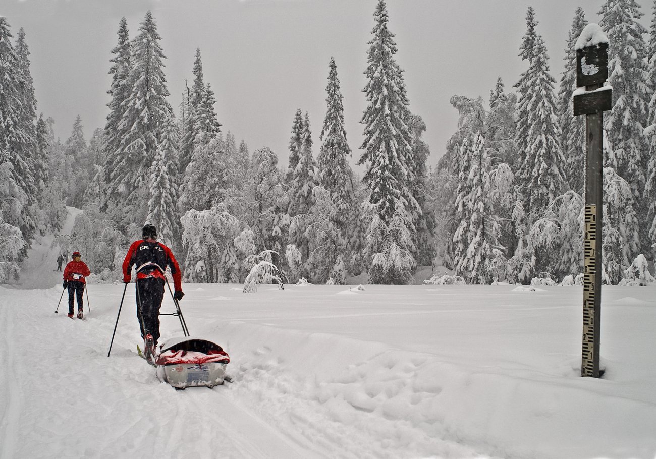 Meteren er passert i Bærumsmarka
