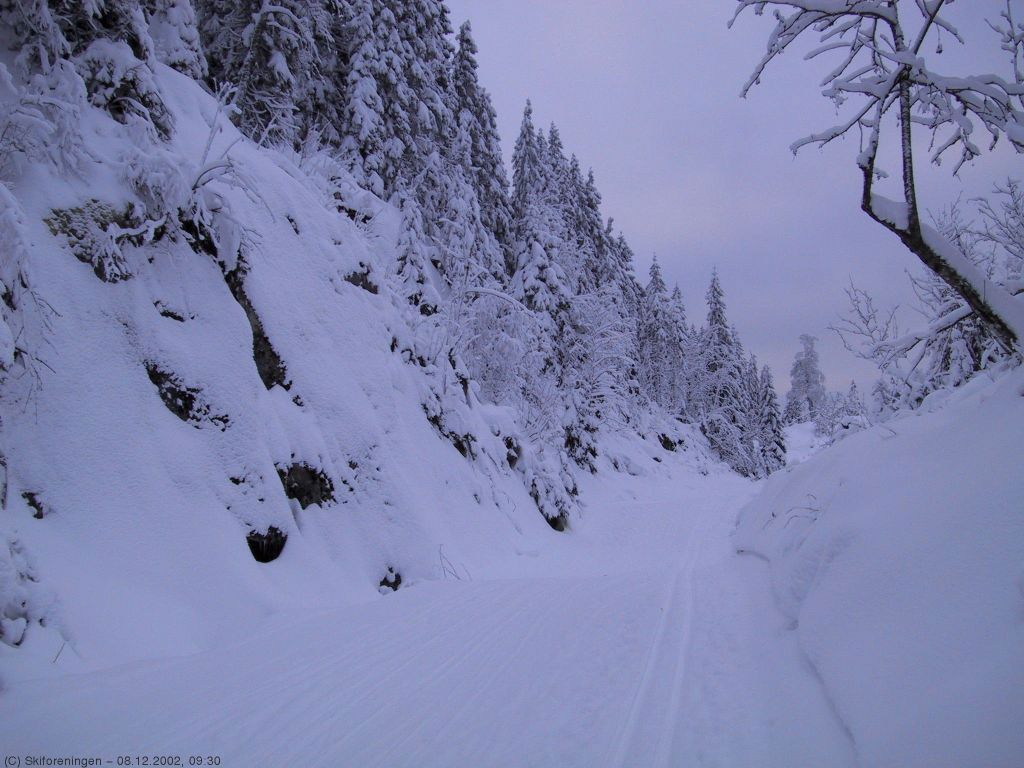 Middagsdalen i vinterskrud