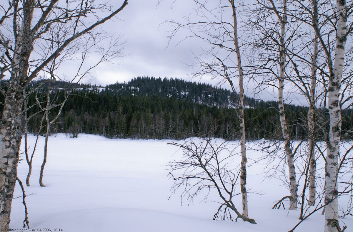 Middagskollen ved middagstid