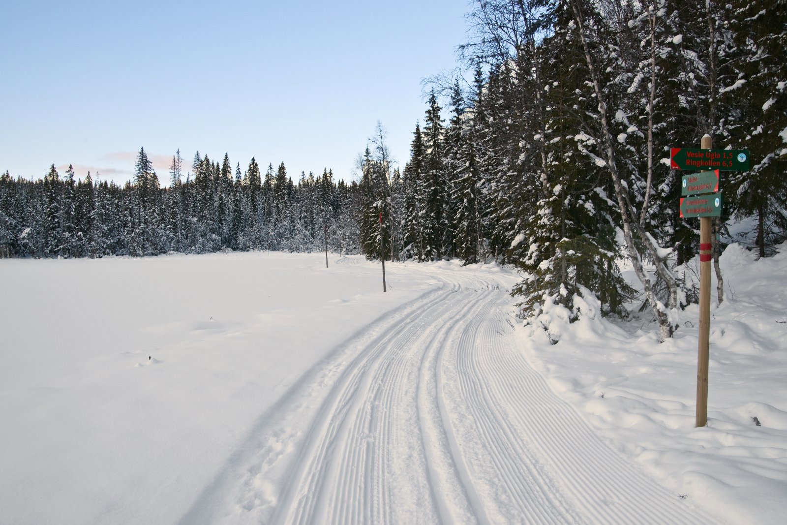 Midt i vintereventyret