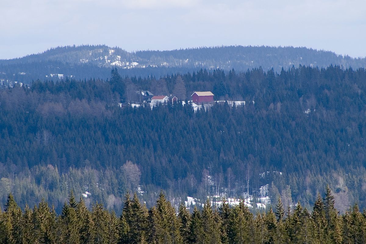 Midtskogen zoomet inn fra Finneflakseterløypen